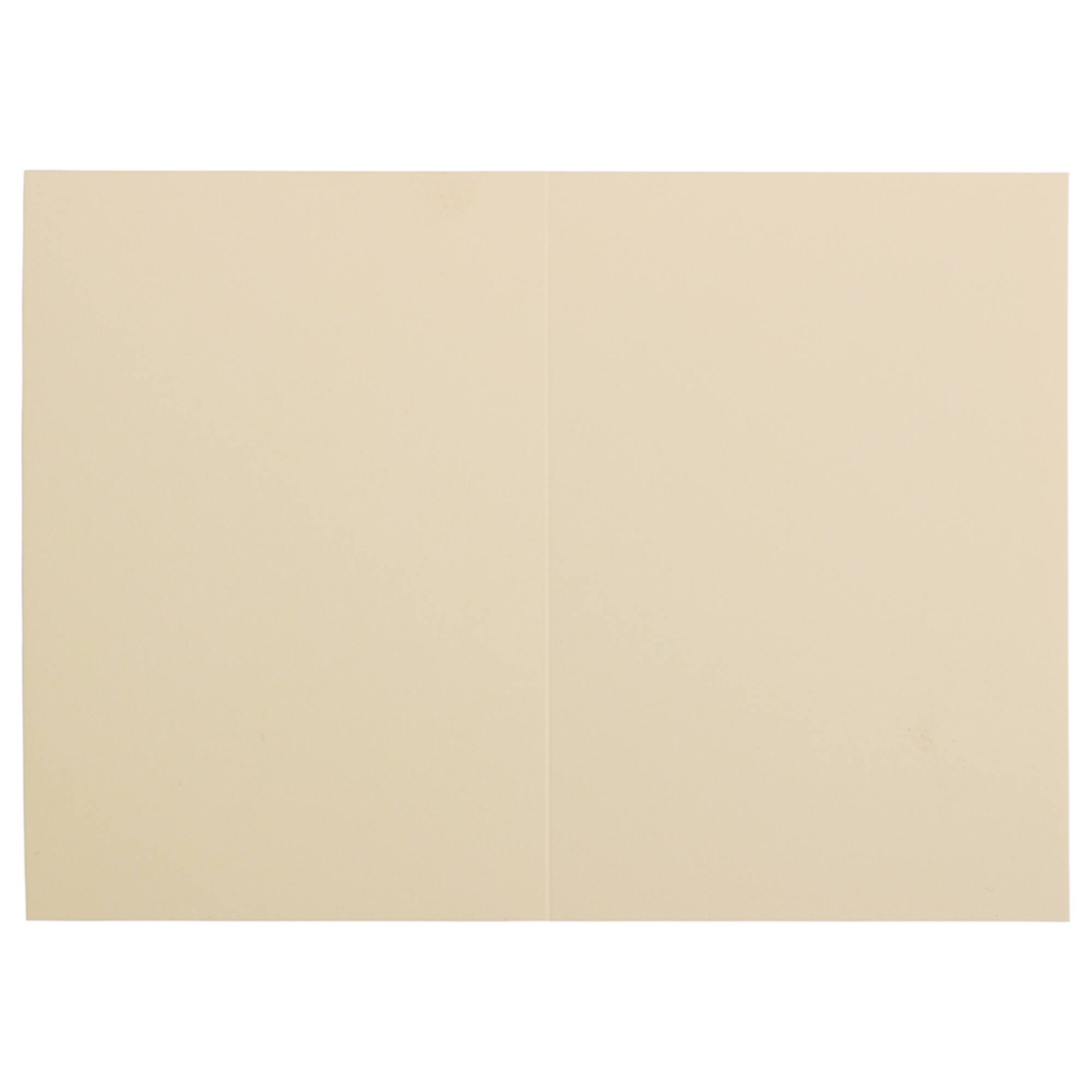 JAM Paper 3.5" x 4.875" Strathmore Ivory Wove Blank Foldover Cards